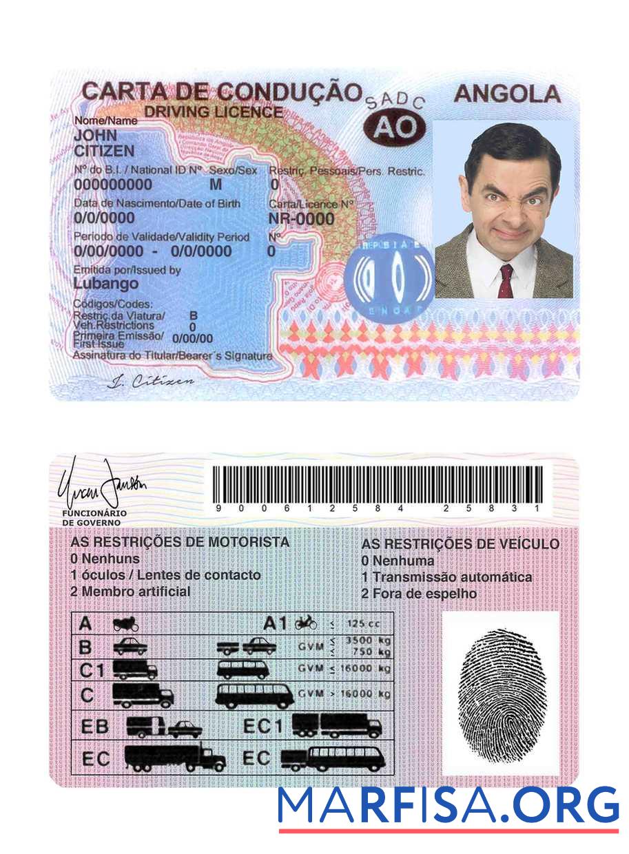 Downloadable Angola driving license example
